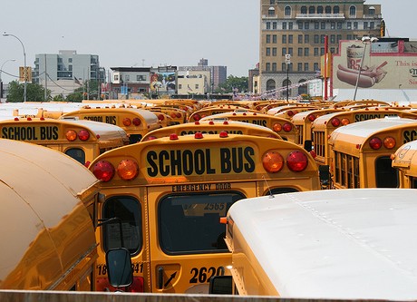 school buses