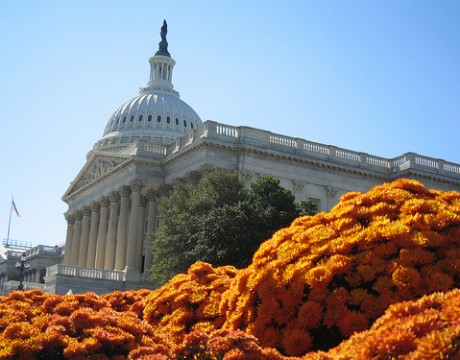 capitol hill