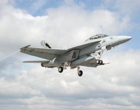 green hornet in flight