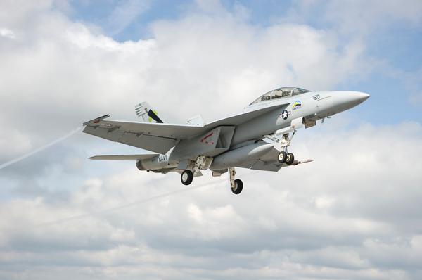 green hornet in flight