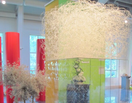 Art Blooms at Annmarie Garden