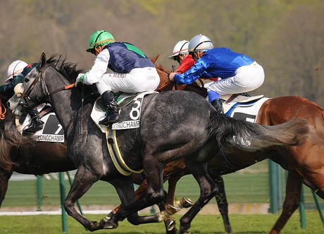 horse race
