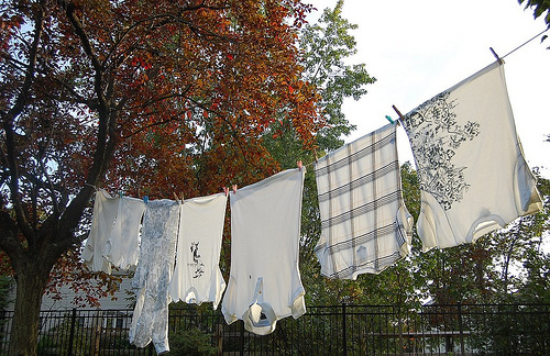 clothesline