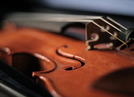 violin