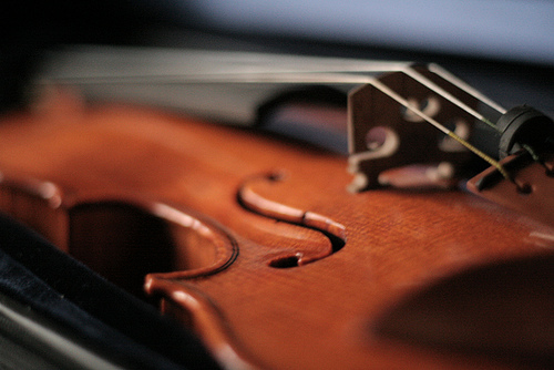 violin