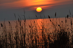 JefClarkArt sunset
