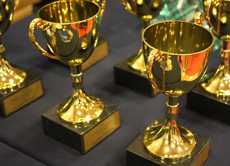 science fair trophy