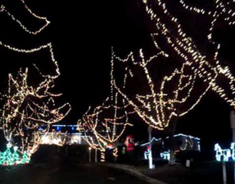Lights Display at Flat Iron Farm