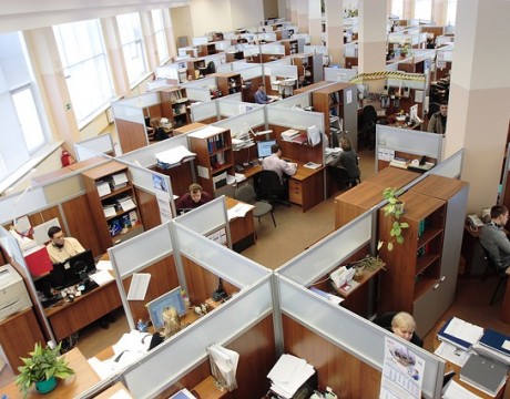 office workers
