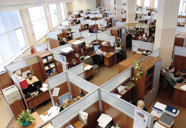 office workers