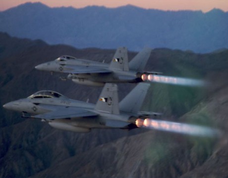 hornet