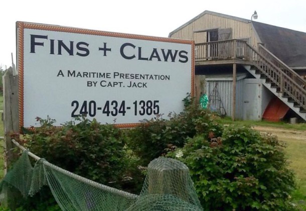 Fins + Claws logo photo - NS