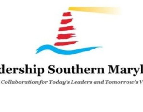 LSM - horizontal logo NS