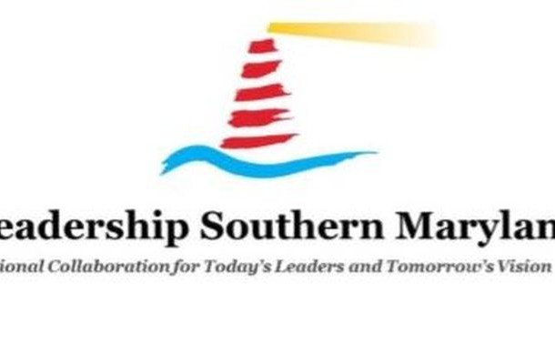 LSM - horizontal logo NS