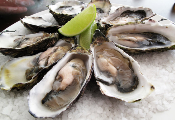 Oysters
