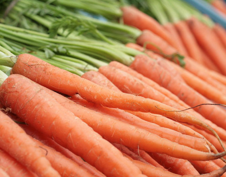 Best diet for eye health