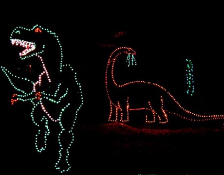 Garden In Lights
