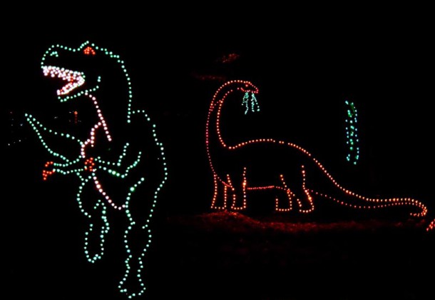Garden In Lights