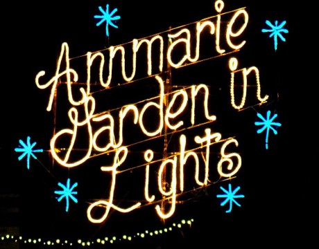 Special Nights Garden In Lights