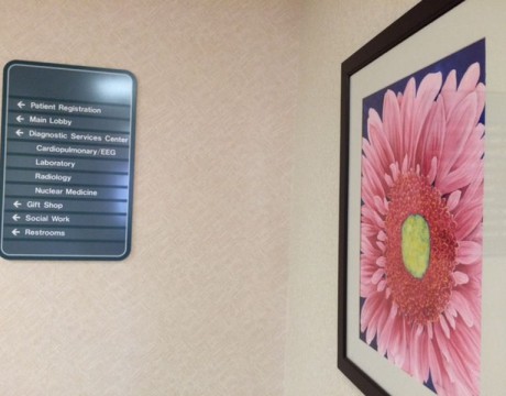 hospital artwork
