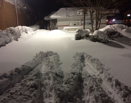 blizzard 2016