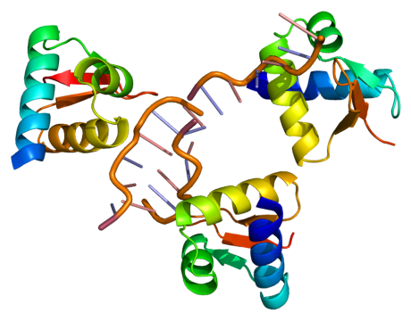 gene splicing