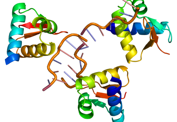 gene splicing
