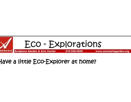 Kids Explore Nature at Annmarie Eco-Exploration