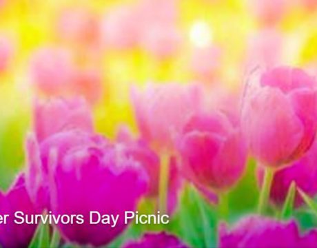 Cancer Survivors