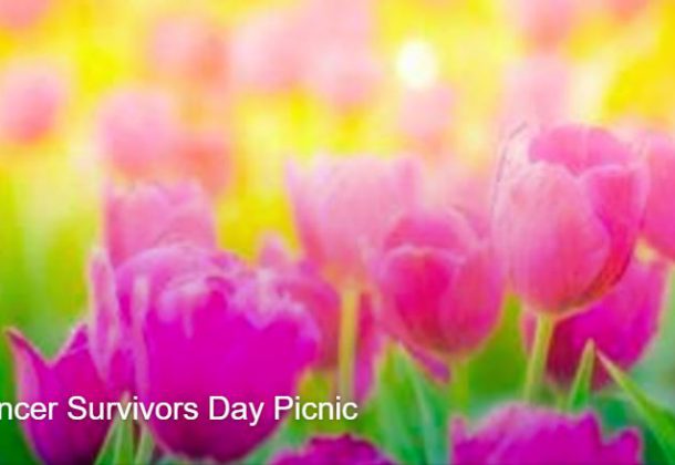 Cancer Survivors