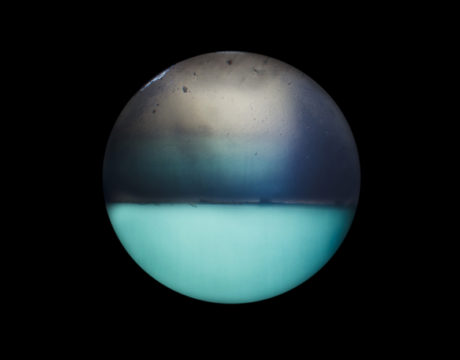 Gould photography at CSM 2016