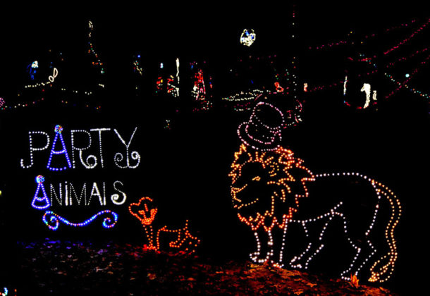 Garden in Lights