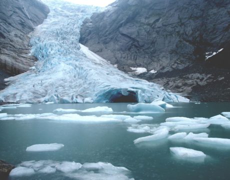 arctic