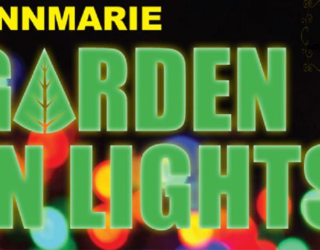 Garden In Lights Open to Pets