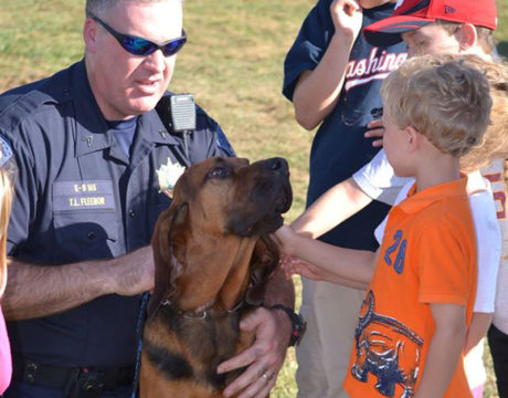 K9 Cooper