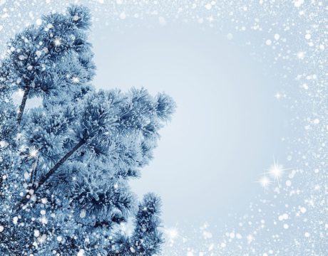 CSM Winter Break, Closings