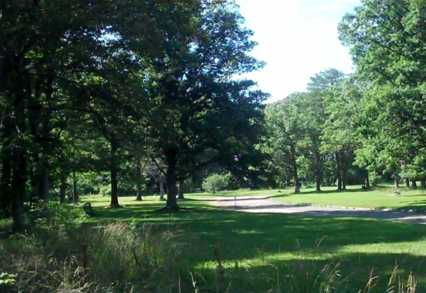 tree museum