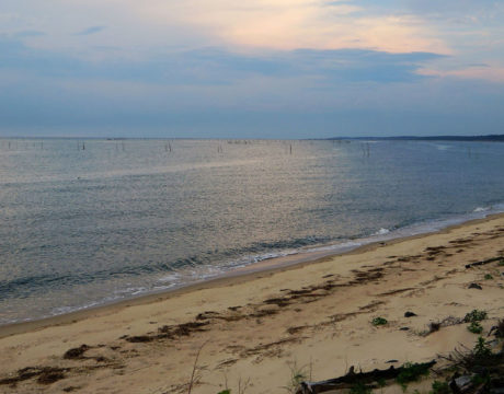 Chesapeake Bay