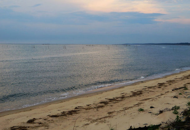 Chesapeake Bay