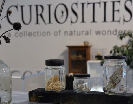 Annmarie Exhibit