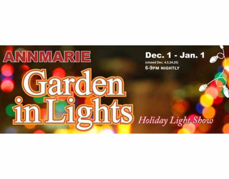 Garden in Lights
