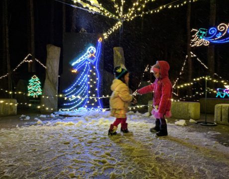 Garden in Lights