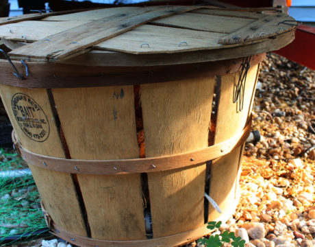 Crab Pot