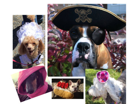 Costume Parade