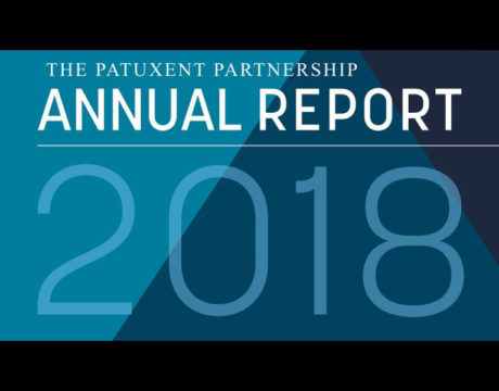 Annual Report