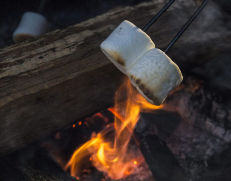 S'mores
