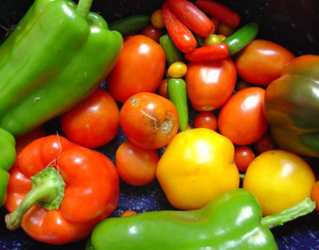 Superfoods