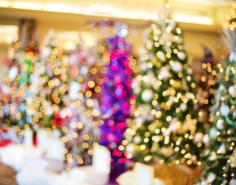 Festival of Trees