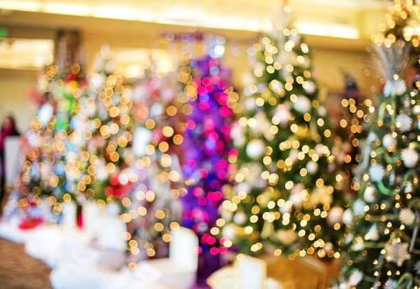 Festival of Trees