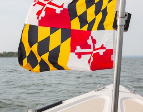 Water Taxi